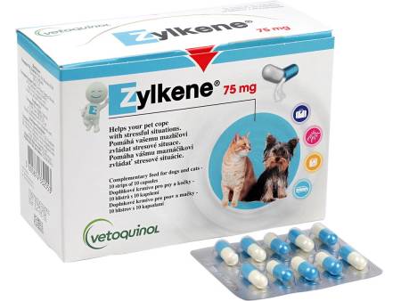 Jak vybrat vitamín a doplněk stravy pro psa?