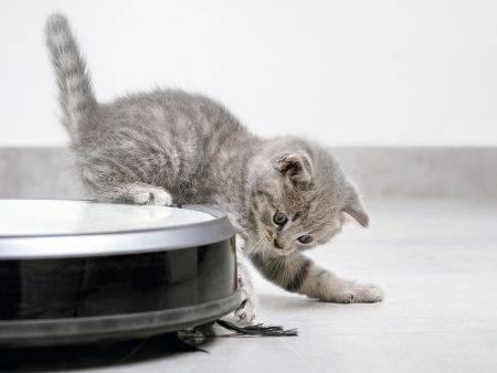 Top cele mai bune aspiratoare robot: cu mop, pentru covoare și pentru păr de animale