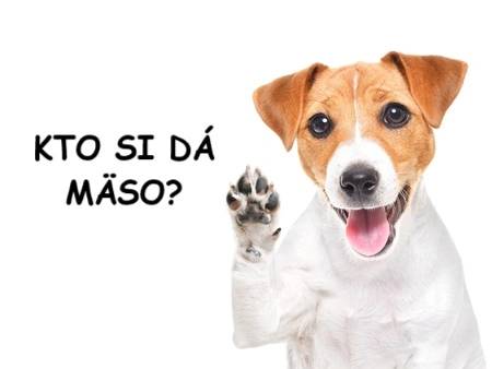 Barfovanie: Čo to je a ako začať, aby bol váš psík spokojný?
