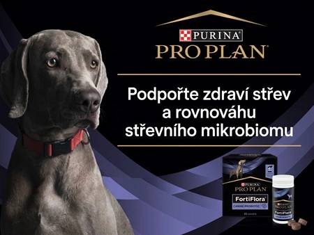 HAFo starostí s bříškem? Podpořte zdravé trávení svého psa s PRO PLAN FortiFlora