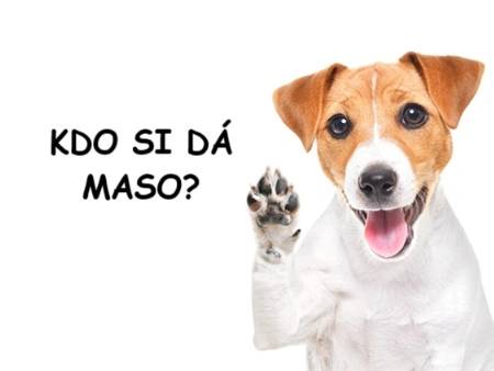 Barfování: Co to je a jak začít, aby byl váš pejsek spokojený?