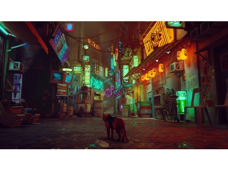 Stray (Recenze)