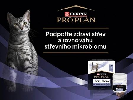 Zdravé bříško, spokojená kočka: Podpořte zdravé trávení svého mazlíčka s PRO PLAN FortiFlora