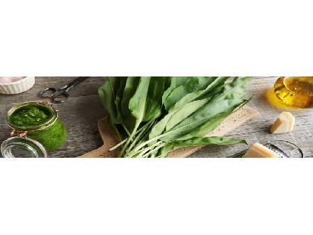 Hogyan fogyaszd a medvehagymát? Fedezd fel pesto és leves receptjeinket