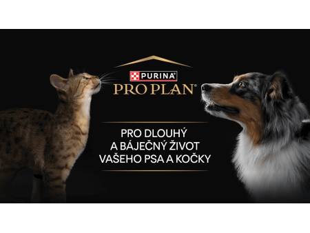 Jak krmit mazlíčky v různých fázích života a při onemocnění? Krmiva PRO PLAN® mají odpověď