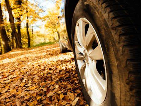 Top cele mai bune anvelope all-season. Rezultatele testelor ADAC