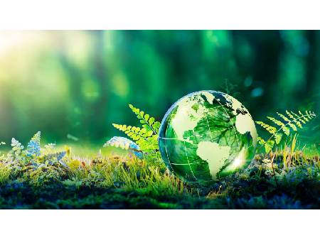 Válts környezettudatos életmódra: zero waste, újrahasznosítás, természetes kozmetikumok