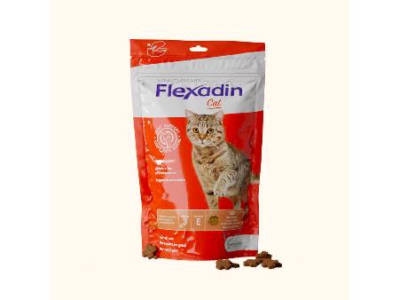 Jak vybrat vitamíny a doplněk stravy pro kočku?