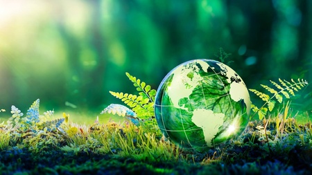 Jak na udržitelnost? Zkuste zero waste, přírodní kosmetiku a recyklaci