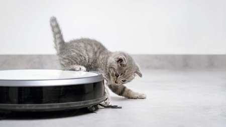 Nejlepší robotické vysavače (na koberce, s mopem i bez)