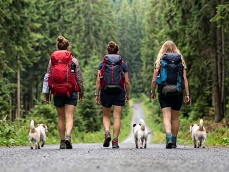 Jak sbalit batoh nebo krosnu na trek? Správné rozložení váhy vám ušetří záda
