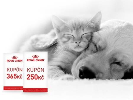 Ulovte slevu až 365 Kč a dopřejte svému mazlíčkovi to nejlepší od Royal Canin