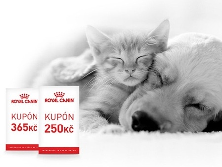 Ulovte slevu až 365 Kč a dopřejte svému mazlíčkovi to nejlepší od Royal Canin