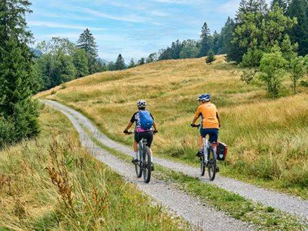 Ghidul biciclistului: Pedalează cu stil și fără vânătăi