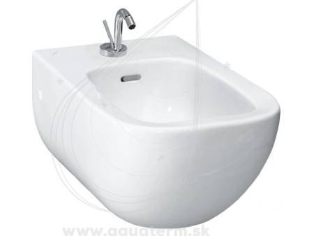 Ako vybrať bidet?
