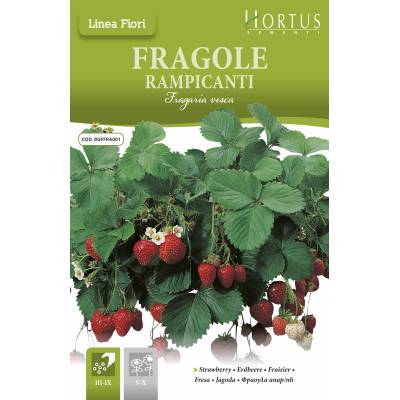 Hortus Каскадни Ягоди Fragole Rampicanti