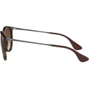 Image 1 of Ray-Ban Erika RB4171 865/13