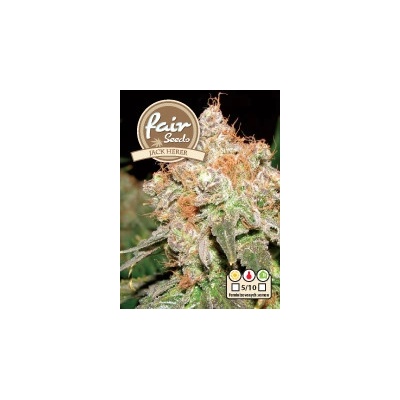 Fair Seeds Jack Herer semena neobsahují THC 10 ks