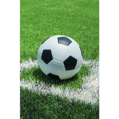 Jerry Fabrics Zelená fleecová detská deka Football