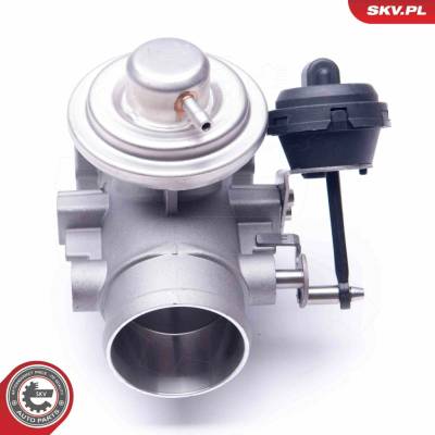 AGR-Ventil ESEN SKV 14SKV107