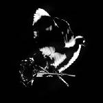 Universal Pop Smoke: Shoot for the Stars, Aim for the Moon (Deluxe Edition) - 2CD (037879)