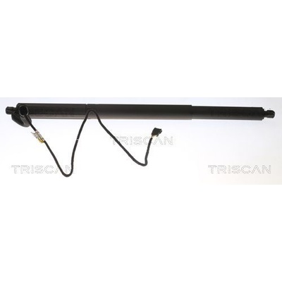 Pneumatická pružina kufor/úložný priestor TRISCAN 8710 11305