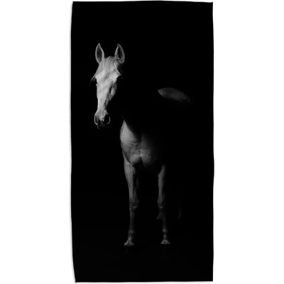 Sablio Uterák Kůň ve stínu 50 x 100 cm