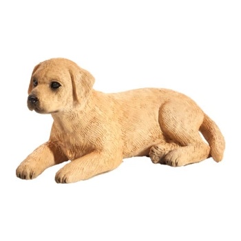 Mojo Labrador šteniatko