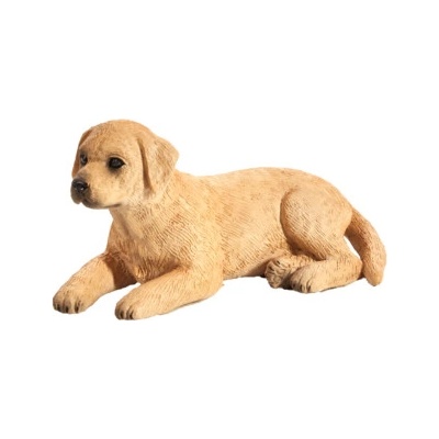 Mojo Labrador šteniatko