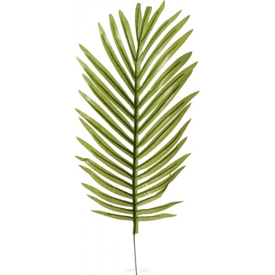 Umelý palmový list- 55cm