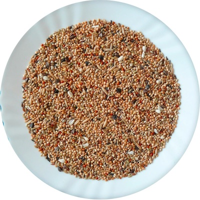 Avicentra Neoféma 4kg