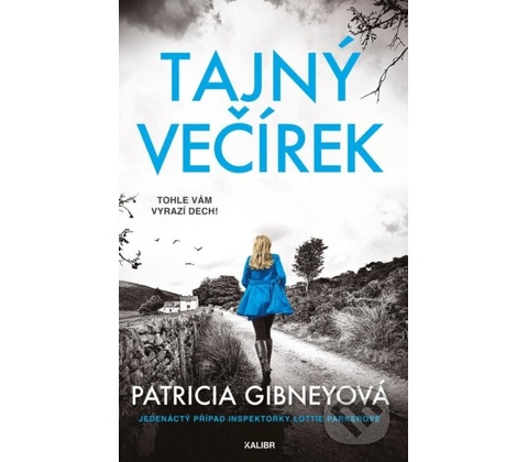 Tajný večírek