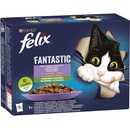Felix Fantastic lahodný výber so zeleninou v želé s hovädzím kuraťom lososom a pstruhom 12 x 85 g