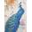 Magnolia - Puzzle Blue Peacock - 1 000 piese