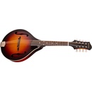 Eastman MD305