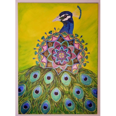 Mandala páv 50 x 70 cm - ručne maľovaný obraz