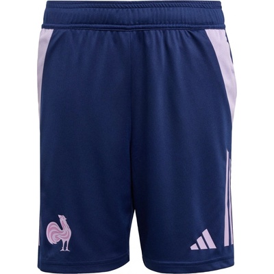 adidas dětské šortky Francie Gym modrá