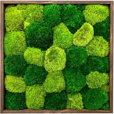 Mechový obraz čtverec - kopečky Velikost rámu: 35x25cm