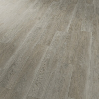 Karndean Conceptline Acoustic Click 30130 4V Javor šedý 2,15 m²