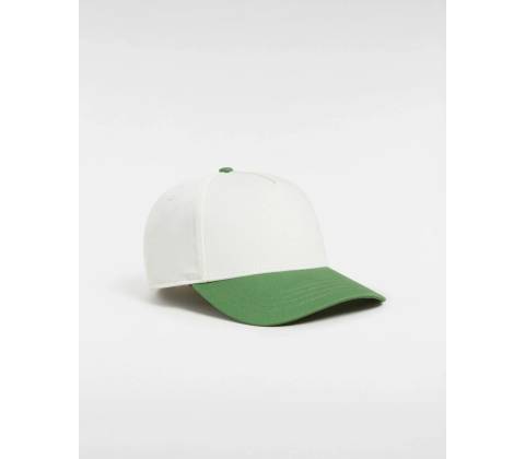 VANS Data System Strapback FAIRWAY