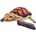 BEPPE Brown turtle 28cm