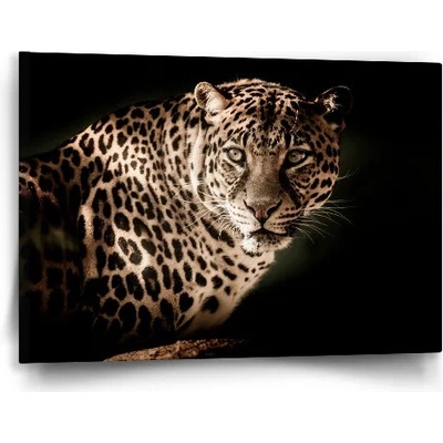 Sablio Obraz Leopard - 60x40 cm