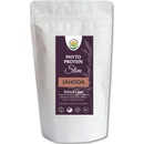 Salvia Paradise Phyto Protein Basic 300 g