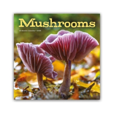 Browntrout Verlags GmbH Mushrooms - Pilze 2026 - Wand-Kalender | Carousel Calendar