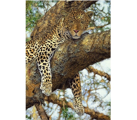 Dino Leopard škvrnitý 1000