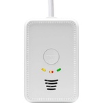 CARBEST Детектор за газ Carbest LPG/CO 12 V - 2 в 1 (802180)