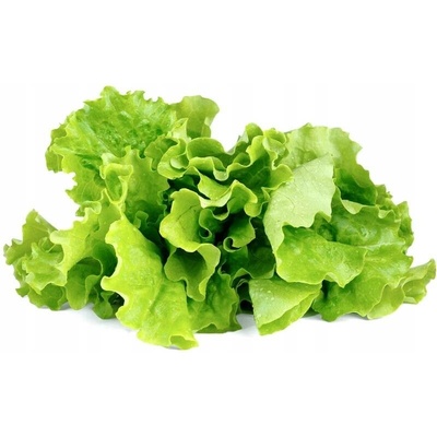 Salátová semínka 47 g