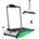 Akluer H1-B