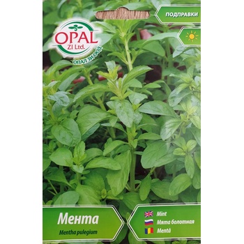 Image 1 of Opal Zi Мента Mentha pulegium