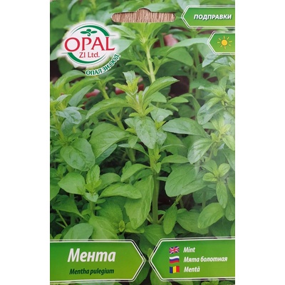 Opal Zi Мента Mentha pulegium